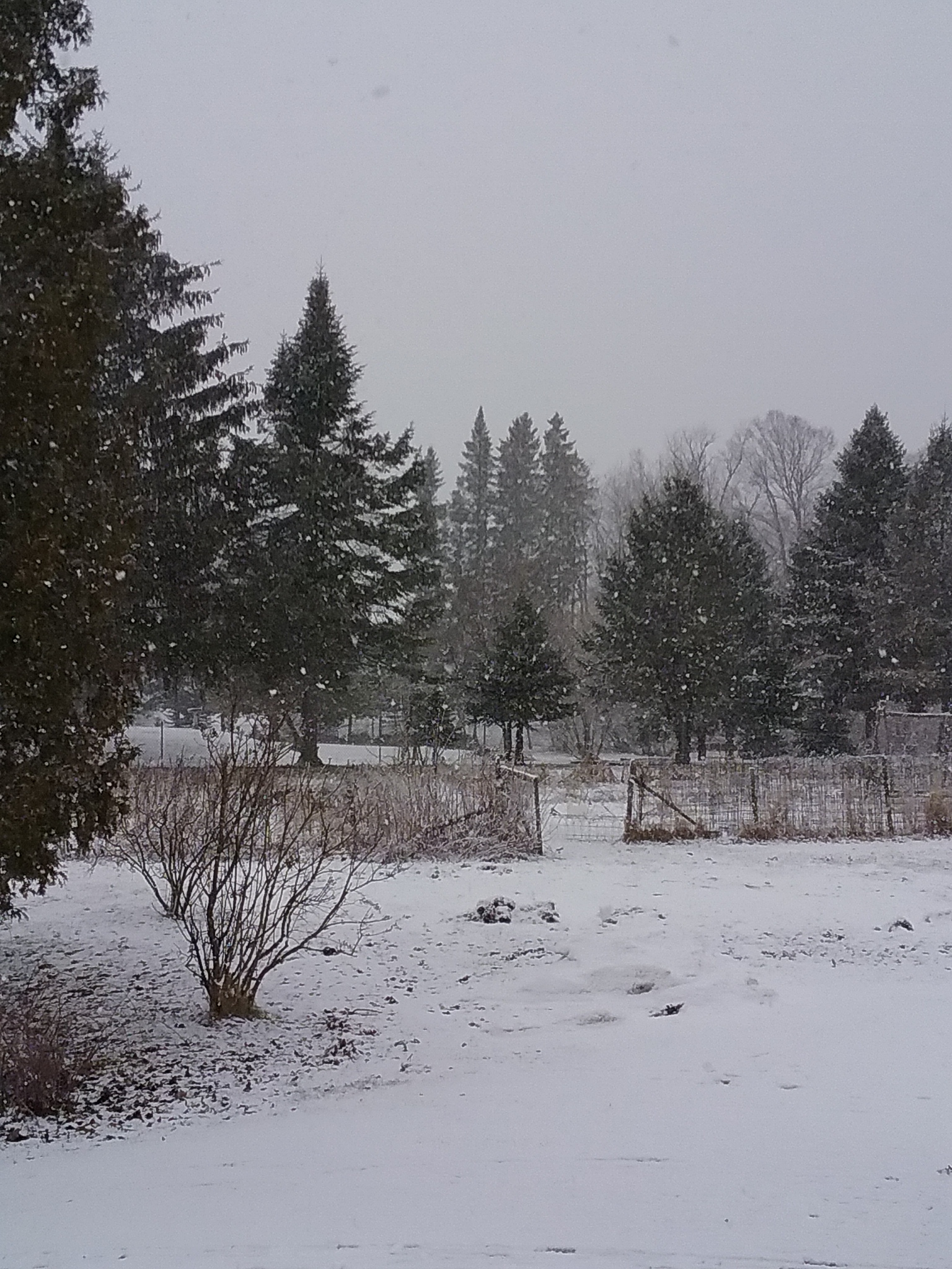 SNOW on the 18th April