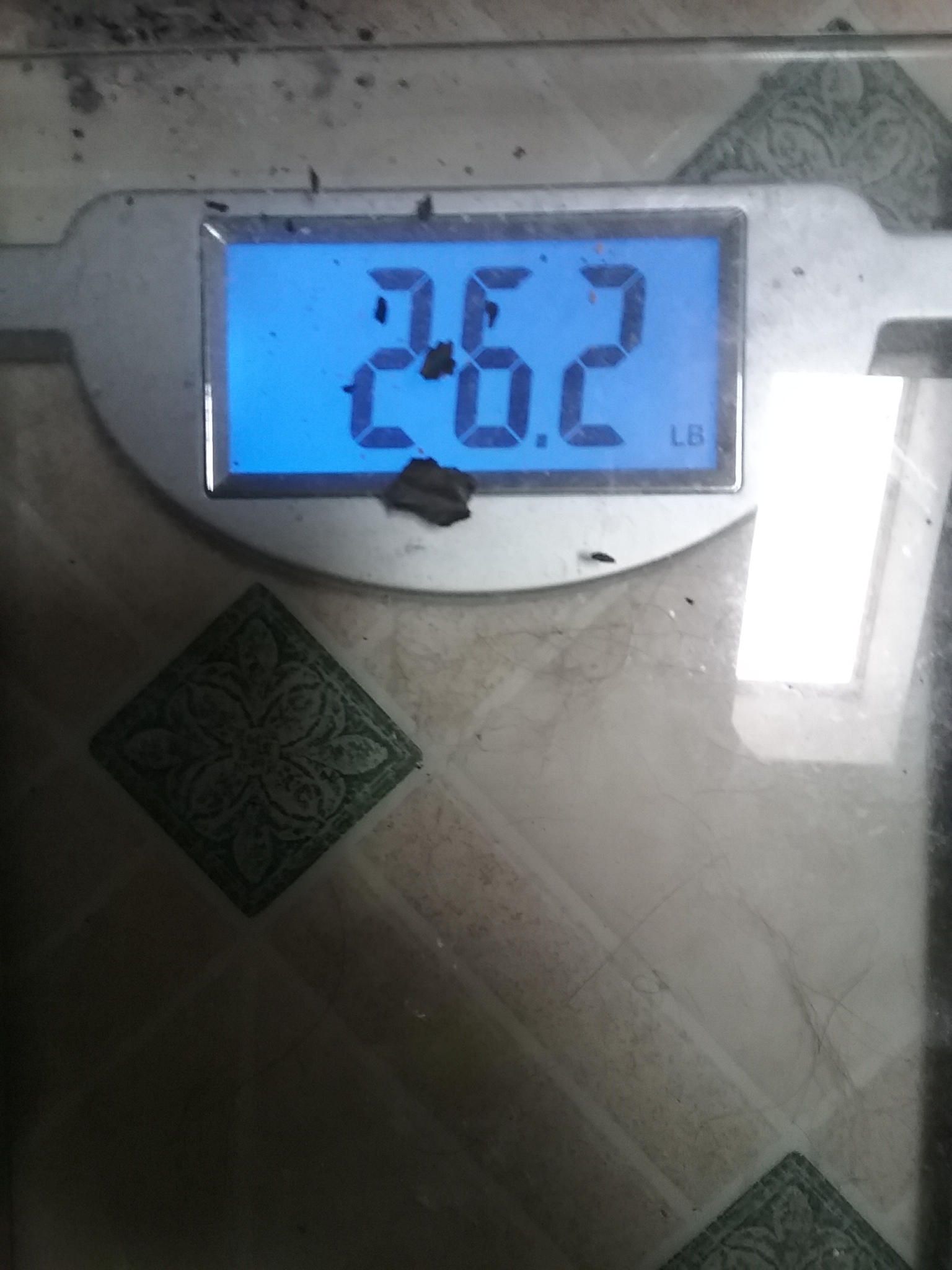 26lbs of garnage at 9.00