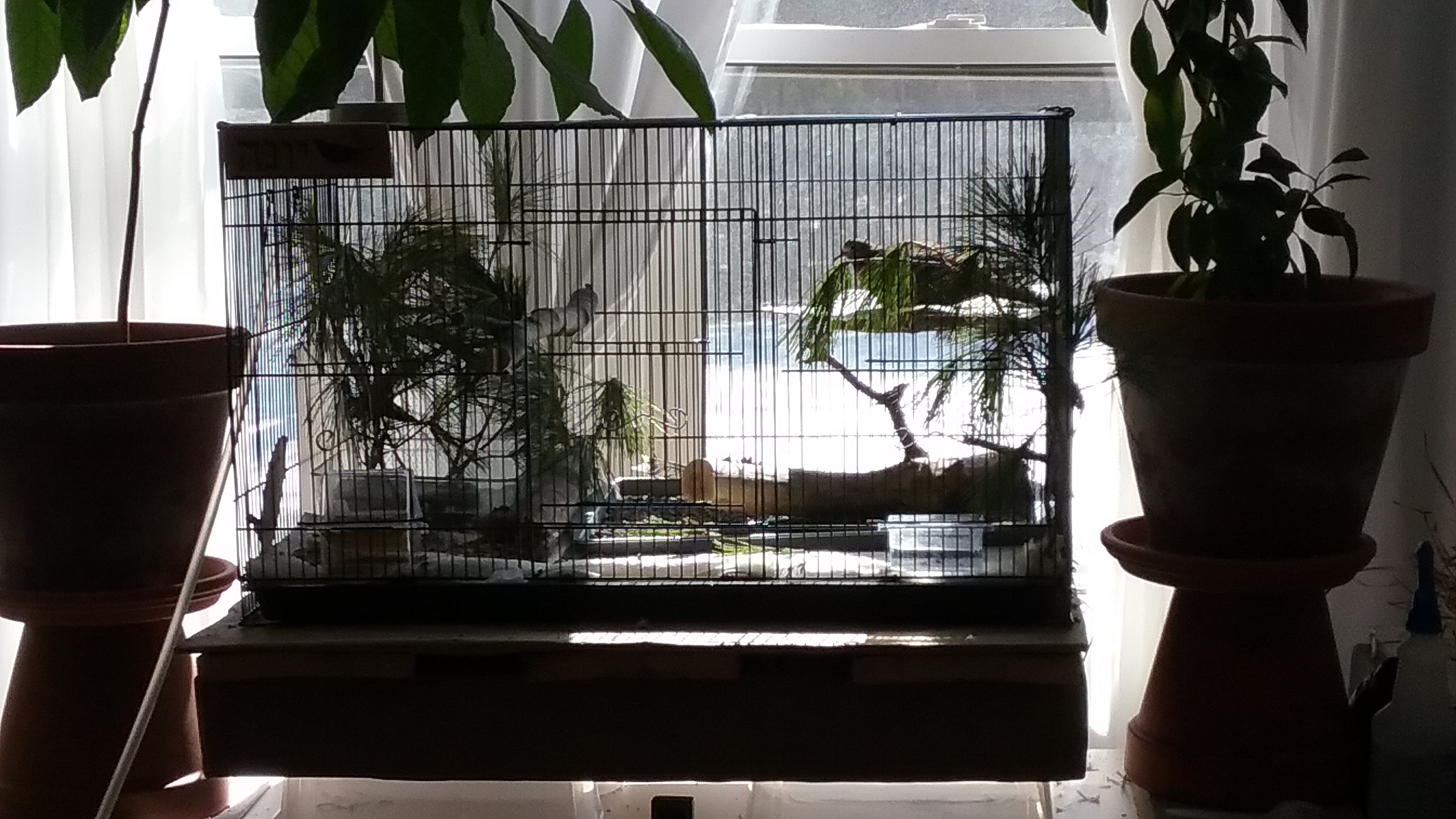 20210317_124904 20210317_124904