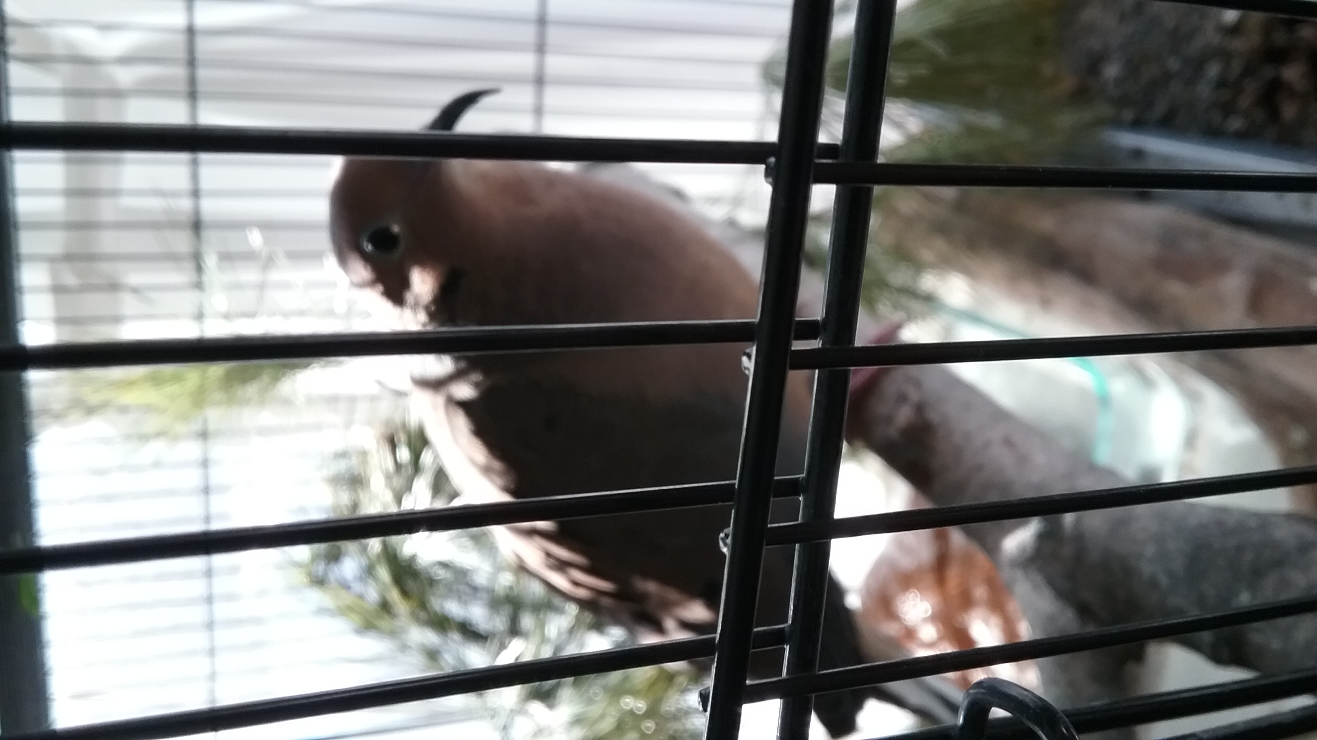 20210320_094717 20210320_094717