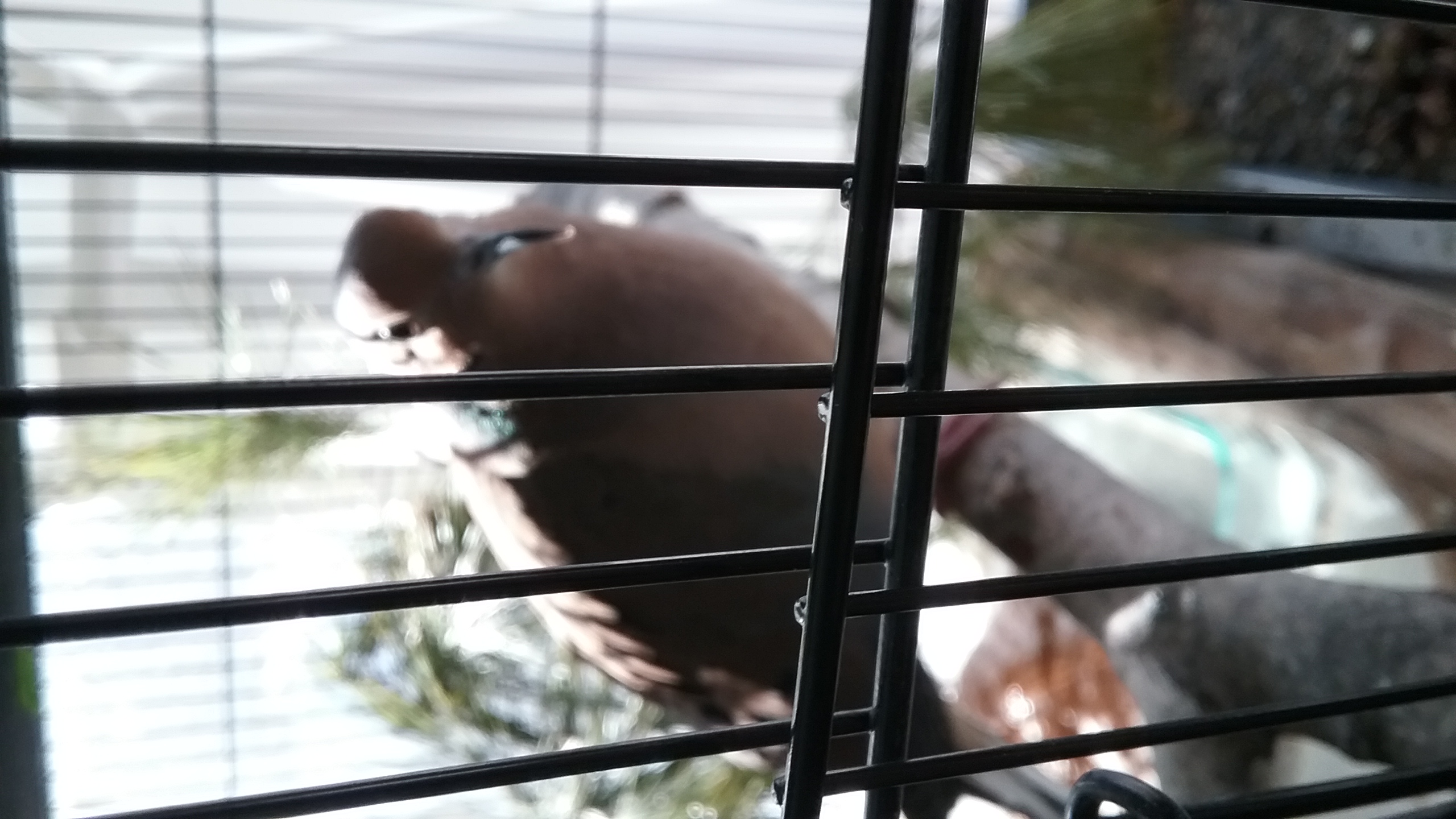 20210320_094719 20210320_094719