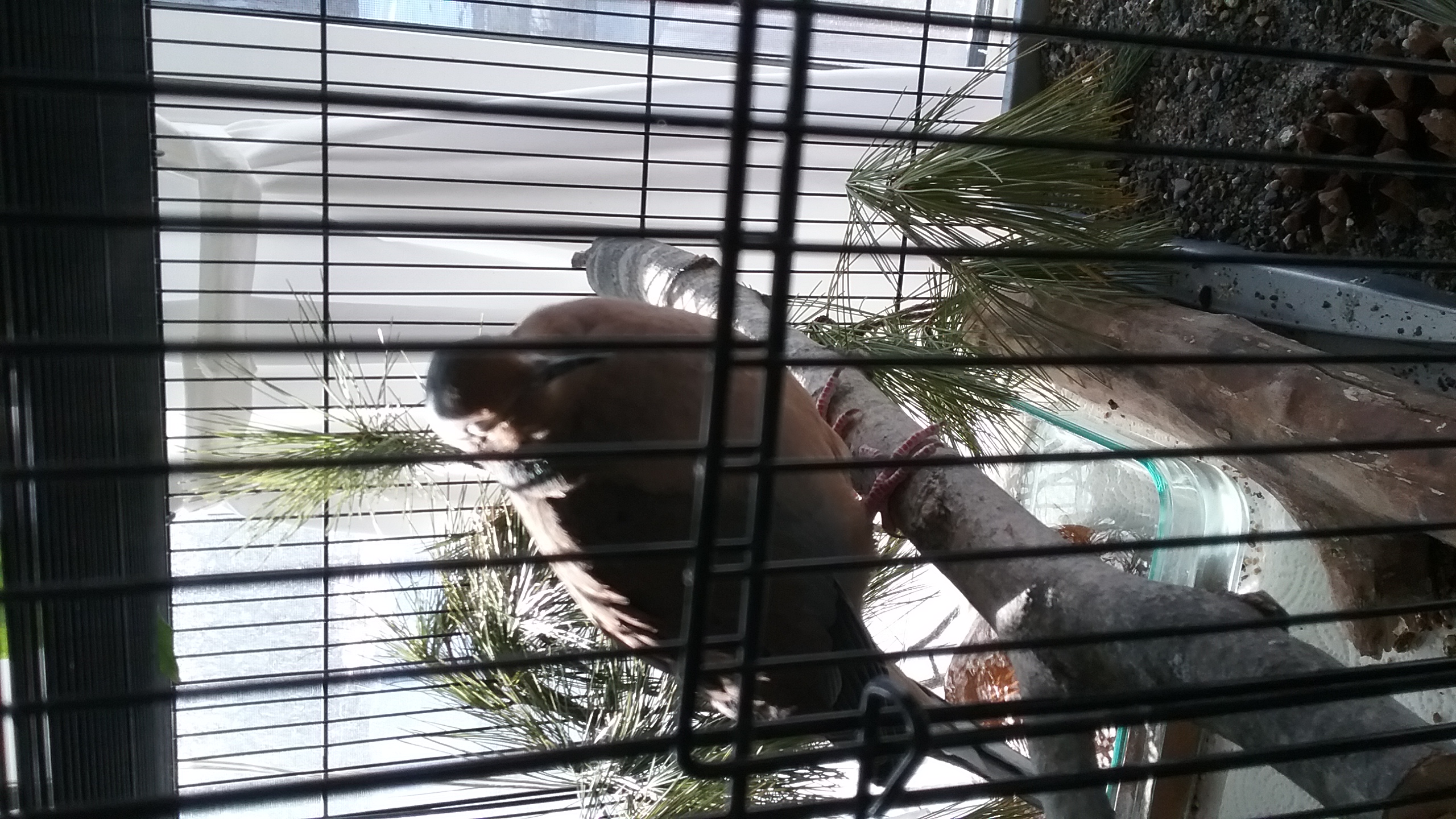 20210320_094727 20210320_094727