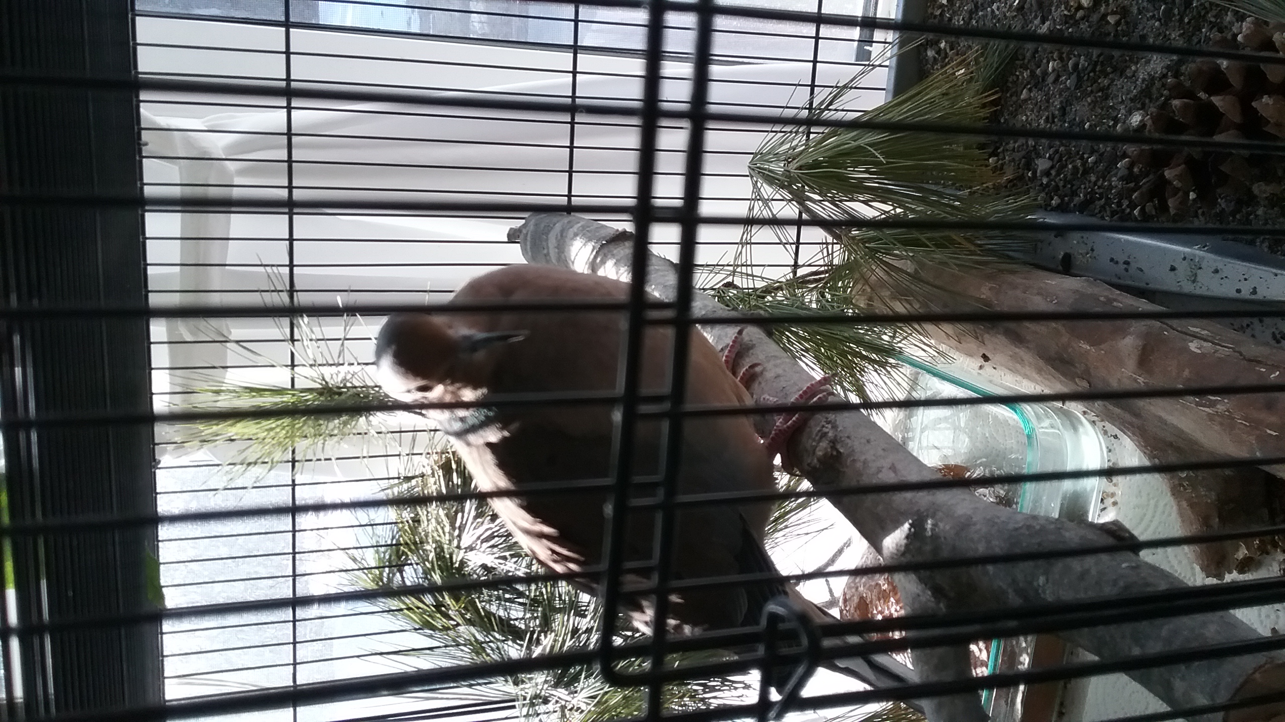 20210320_094728 20210320_094728