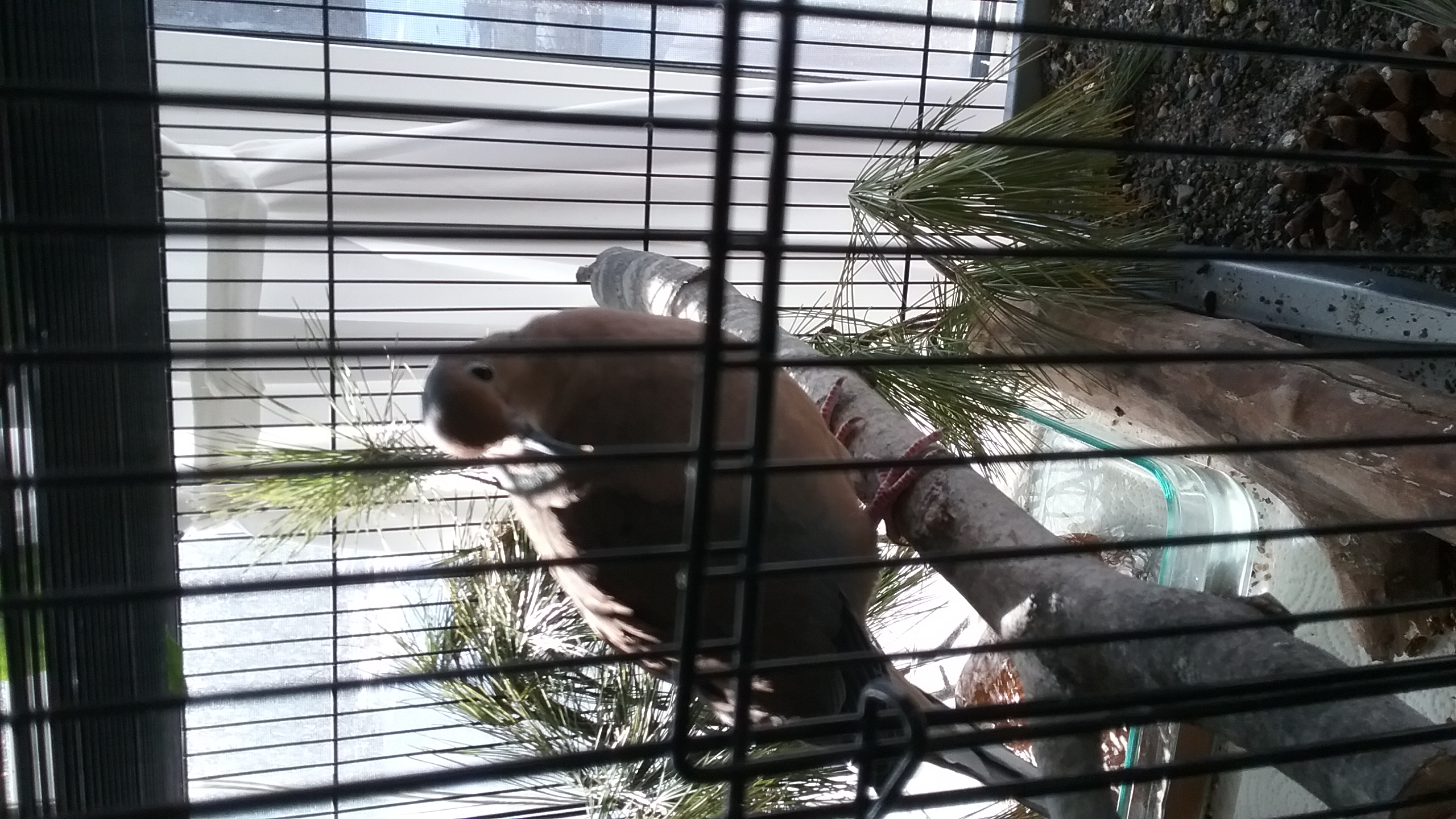 20210320_094734 20210320_094734