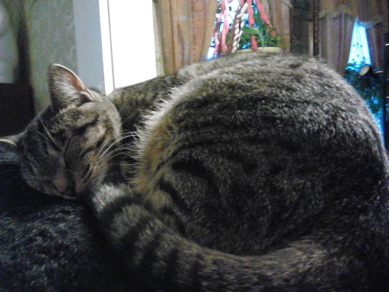 CubbyIMG_20130715_201639