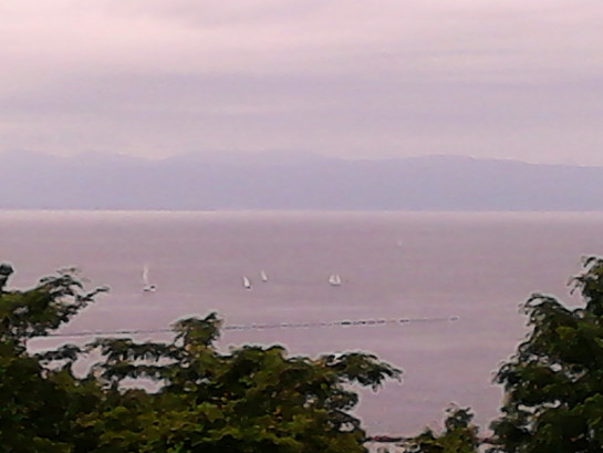IMG_20130701_112308