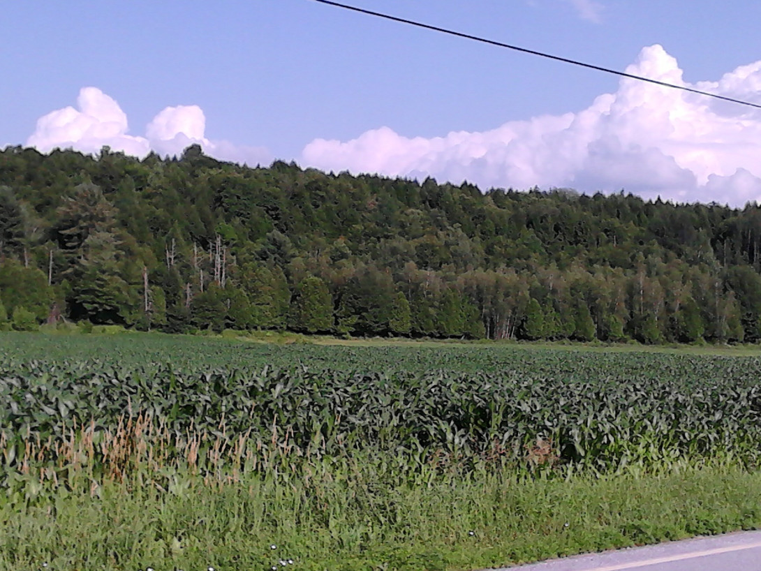 IMG_20130709_173021