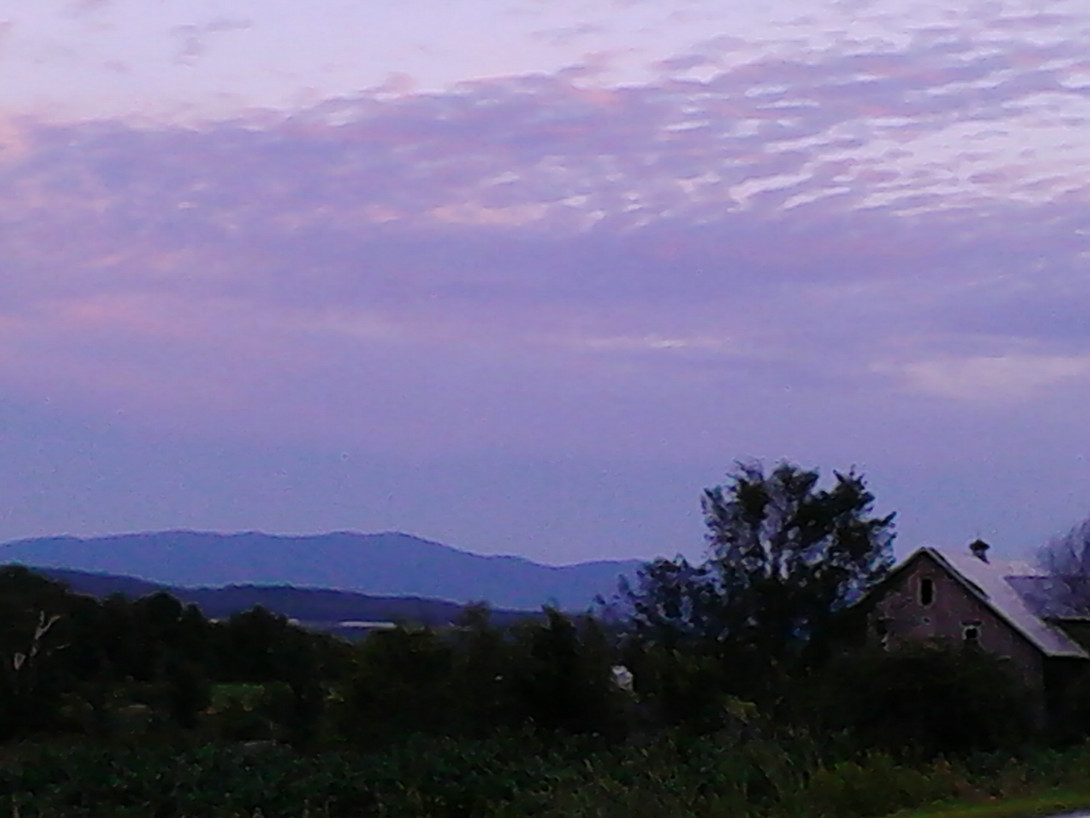 IMG_20130727_202509