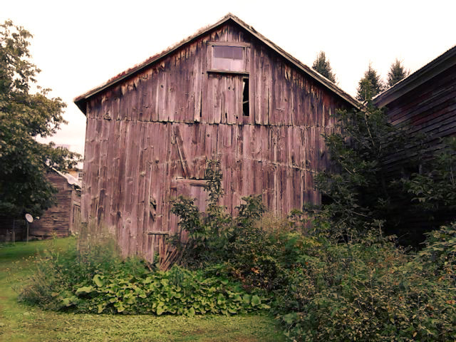 IMG_20130902_153855adj