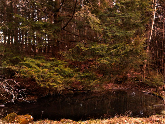 IMG_20140502_184813a