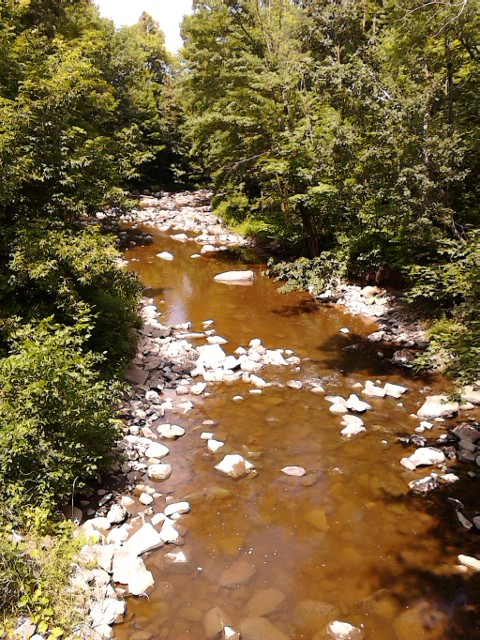 IMG_20140720_123751Groat