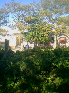 Tilden PO